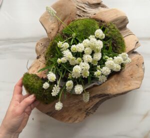 Alles Mit Kugelmoos Bedecken
