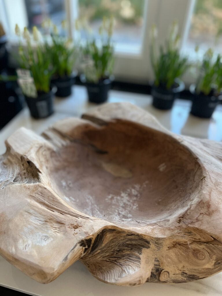 Holzschale Wurzel