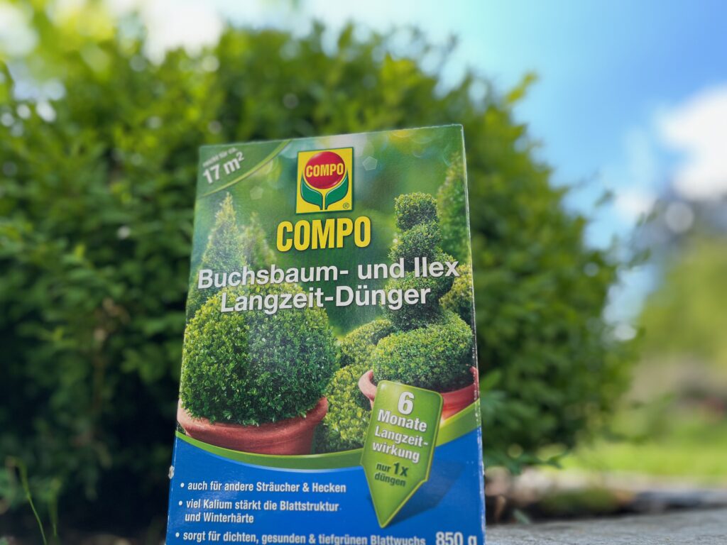 Buchsbaum Duenger Langzeit Compo