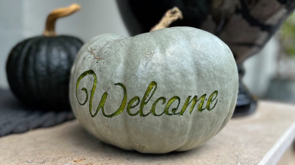 Welcome Kuernis Schwarzer Kuerbis