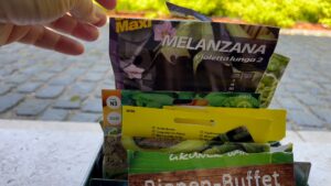 12 Spar Tipps Pflanzen Samen